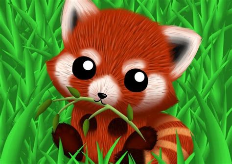 How To Draw A Cute Red Panda Step By Step Drawing Art Ideas