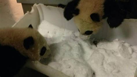 Mei Huan Sis What Is This Stuff Mei Lun I Dont Know Sister But