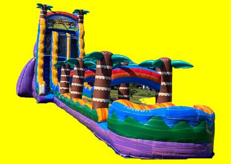 22ft Tiki Plunge Double Lane Water Slide With Slip And Slide