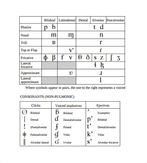 Free Sample International Phonetic Alphabet Chart Templates In Pdf