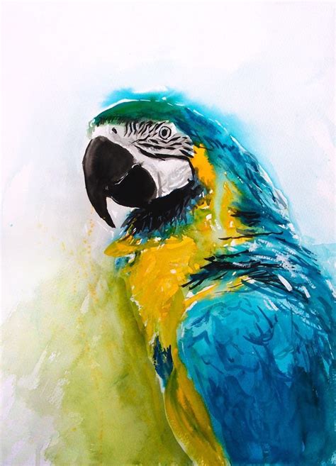 Details About Parrot Macaw Watercolour Print Of Original