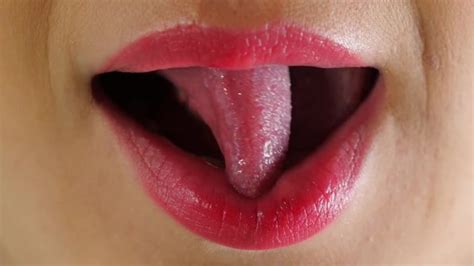 Tongue Splitting Bilder Durchsuchen 149 Archivfotos Vektorgrafiken Und Videos Adobe Stock
