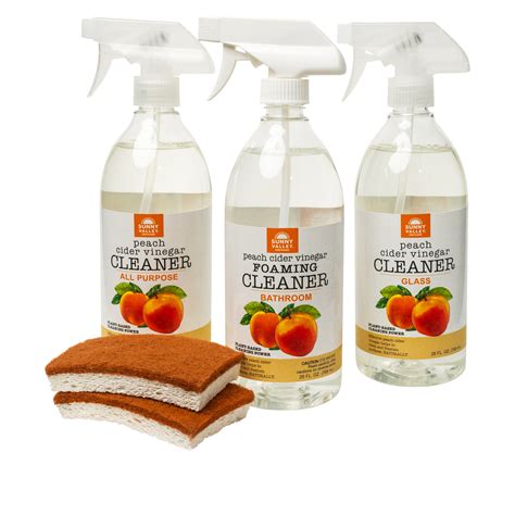 Sunny Valley Orchard Home Cleaning Kit With 2 Sponges 20360428 Hsn