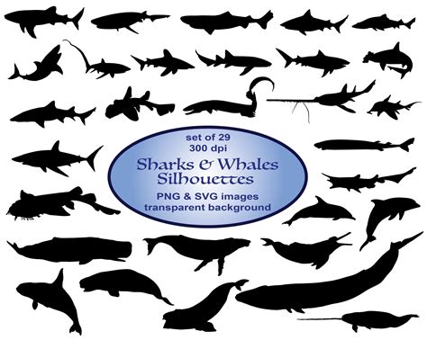 Silhouette Sharks & Whales Clipart SVG Clipart Animals | Etsy | Ocean clipart, Animal clipart ...