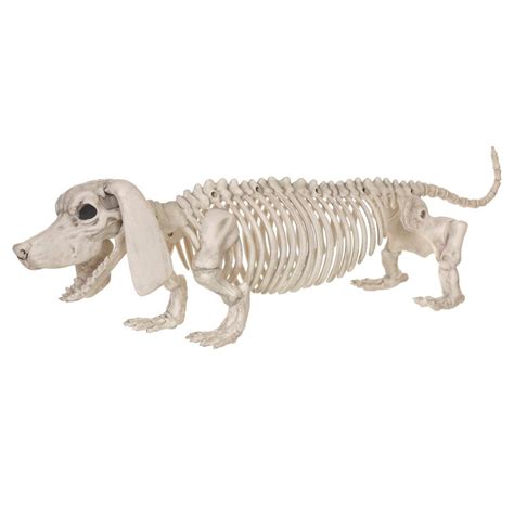 Drawing of a dog skeleton dog skull how to draw drawings art reference animal drawings is related to drawing ideas. Halloween Dachshund Dog Skeleton | Такса, Скелет, Рисунки