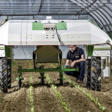 Large Scale Vegetable Weeding Robot Dino Pragmatic