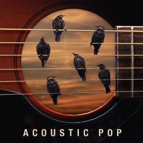 Acoustic Pop Xcd458 Extreme Music