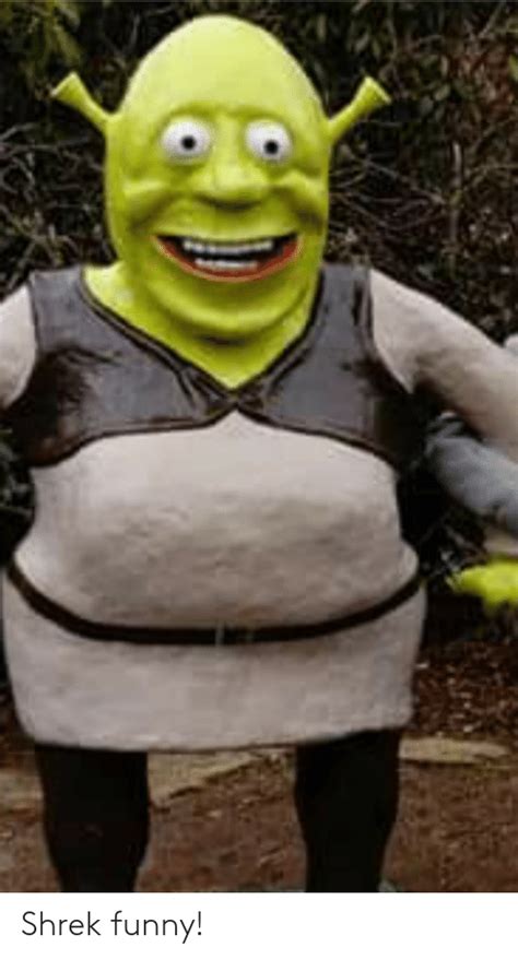 Shrek Funny Funny Meme On Meme Shrek Funny Shrek Funny Memes