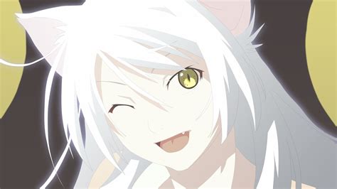 White Haired Female Fox Anime Character Digital Wallpaper Monogatari Series Nekomimi Hanekawa