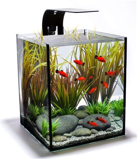 Small Fish Tanks Good For Betta Or Other Small Fish These Fit On A