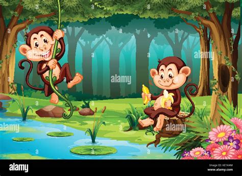 Monkeys Living In The Jungle Illustration Stock Vector Image And Art Alamy
