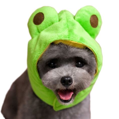 Cat Hat Dog Cap Halloween Pet Party Costumes Dog Hats