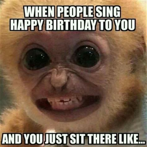 15 Hilarious Monkey Memes To Brighten Your Day I Can Has Cheezburger