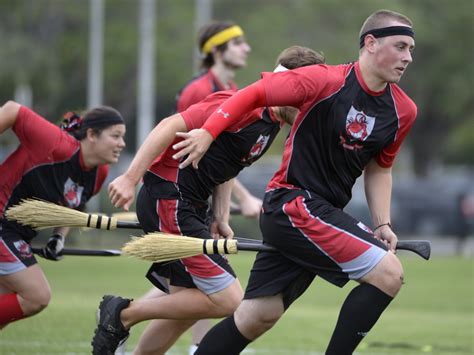 Who's Up For a Game of Quidditch? - Larkable.com