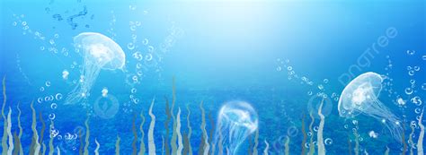 Dream Jellyfish Jellyfish Marine Life Underwater World Background