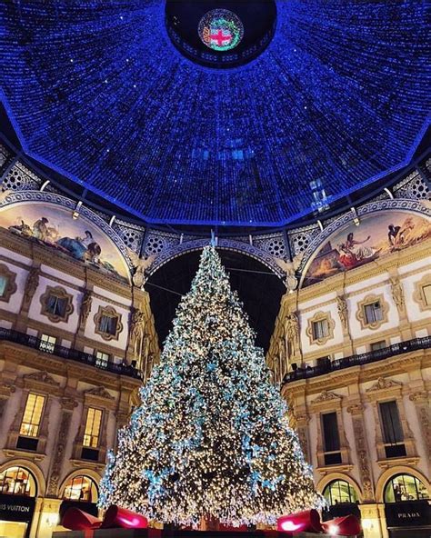 Christmas Tree In Milan Italy Best Places To Travel Beautiful Places To Travel Italy Travel
