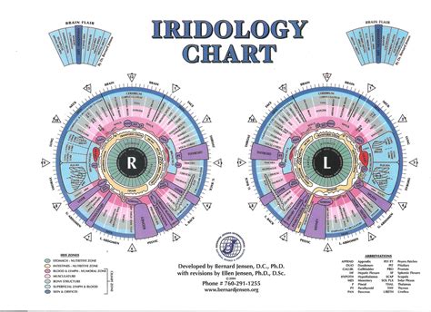 Iridology Charts Download Free 15 Pcs Iriscope Iridology Camera