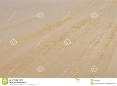 View Over Sand Beach With Tyre Tracks Stock Image Image Of Copy