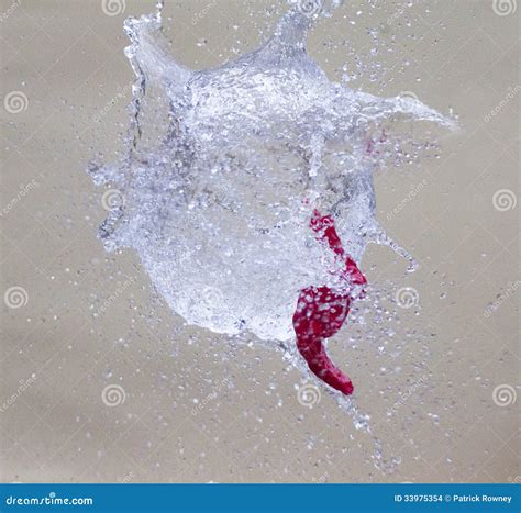 Bursting Balloon Full Of Water Stock Photo Image Of Liquid Abstract