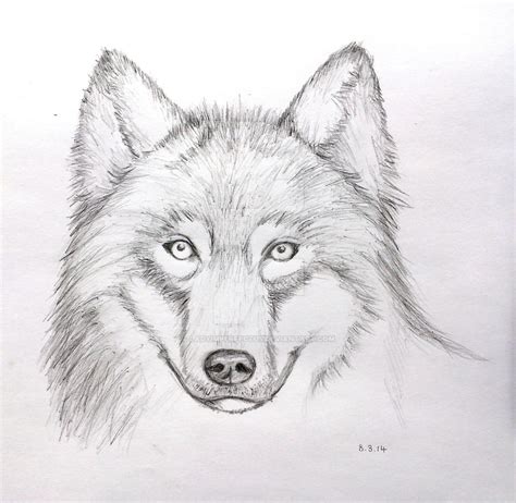 Wolf Face Pencil Drawing Mark Crilley Video By Ladyimperfectus On