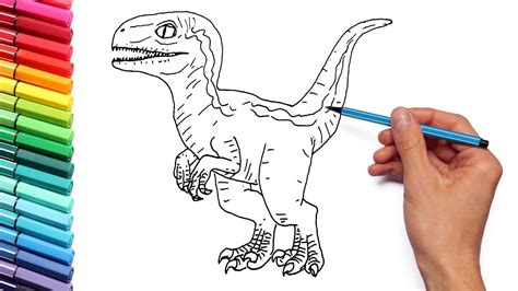 Drawing And Coloring Baby Raptor Blue From Jurassic World Dinosaur