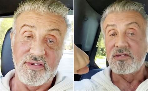 Sylvester Stallone Goes All Grey And Its The Most Colourful Thing Youll
