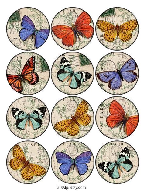 Six Butterflies Are Shown In Different Colors And Sizes With The Names