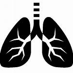 Lungs Lung Icon Clipart Icons Transparent Copd