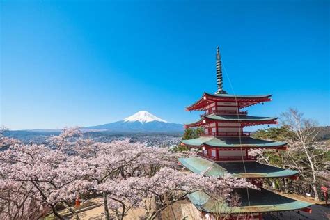 富士山×五重塔の絶景を見に行きませんか？ 新倉山浅間公園 ｜and Trip たびびと