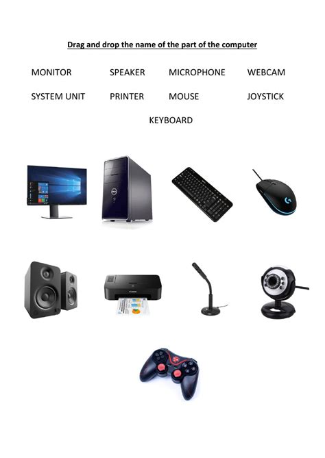 Parts Of The Computer Interactive Worksheet