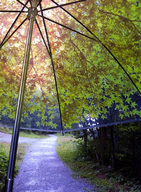 The most common umbrella, featuring foldable steel ribs under the canopy, was first sold by englishman samuel fox in 1852. KOMOREBIAGASA TREE SHADE UMBRELLA | BY DESIGN COMPLICITY