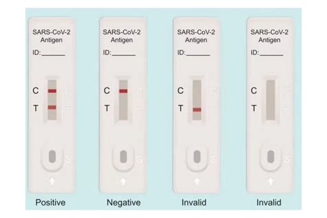 Covid 19 Rapid Antigen Tests Overhaul Needed Researcher Says Abc News
