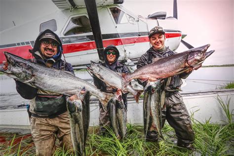 Alaska Fly Out Nushagak River Fishing King Fishing Nushagak River