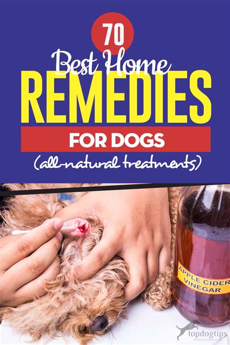 70 Best Home Remedies For Dogs Dog Health Tips Dog Health Remedies
