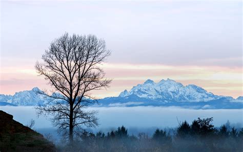 Download Wallpaper 3840x2400 Tree Fog Mountains Landscape 4k Ultra