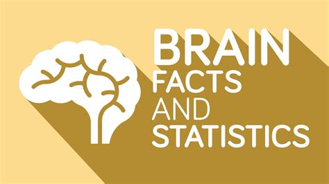 Interesting Facts You Didnt Know About Your Brain Youtube