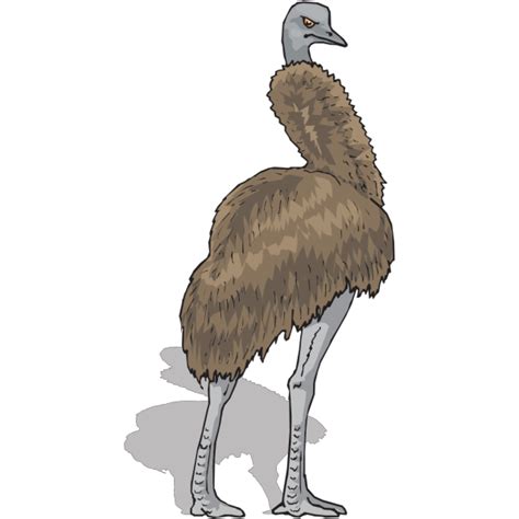 Emu Png Images Icon Cliparts Download Clip Art Png Icon Arts