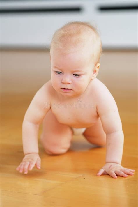Baby Boy Crawling Stock Image Image Of Indoor Cute 75674393