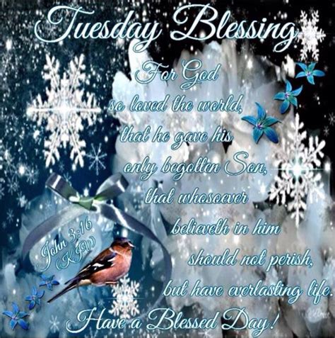 Tuesday Blessings Blessed Good Morning Inspiration Good Night Blessings