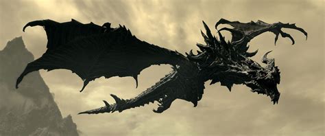 Alduin Video Games The Elder Scrolls V Skyrim Dragon Wallpapers Hd