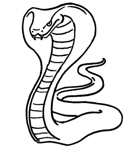 25 Desenhos Da Cobra Naja Para Imprimir E Colorirpintar