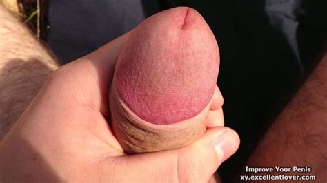 Various Penises Dicks Cocks Volume Photo Gallery Porn Pics Sex