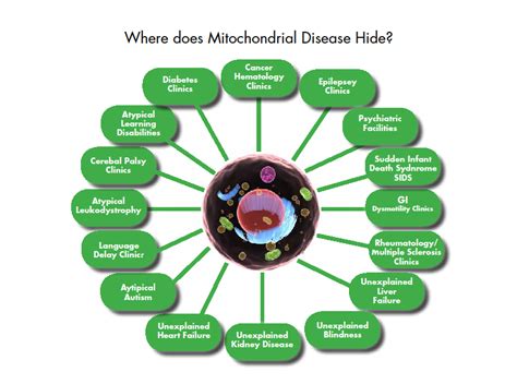 Catechize Mitochondrial Diseases Their Types Diagnosis And Treatment