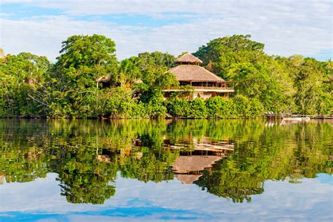 Muita Natureza 5 Lugares Imperdíveis Para Conhecer No Amazonas