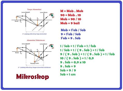 Perbesaran Lensa Okuler Dan Objektif Pada Mikroskop