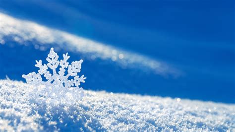 Snowflakes Wallpapers High Quality Download Free