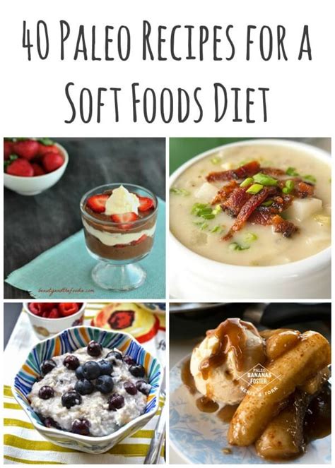 The foods in this diet are characteristically soft texture, low in fiber, high ph and very little spiced. 40 Paleo Recipes for a Soft Foods Diet - Life Made Full