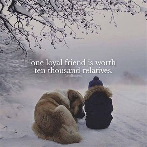 Positive Quotes One Loyal Friend Is Worth Ten Thousand Relatives