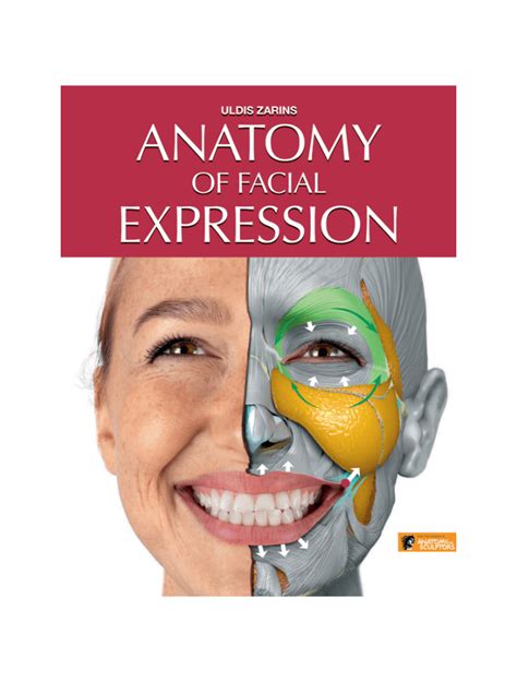 Anatomy Of Facial Expression Pdf Pdf Keg