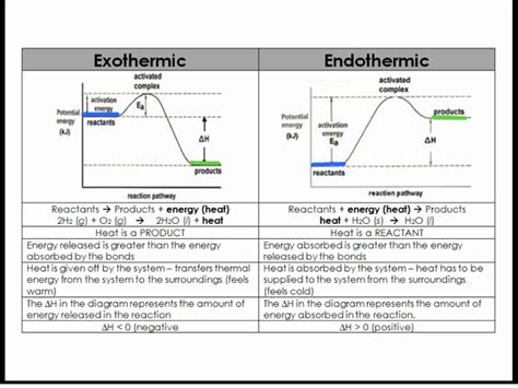 Properties Changes Endothermic Vs Exothermic Changes Graphic My Xxx
